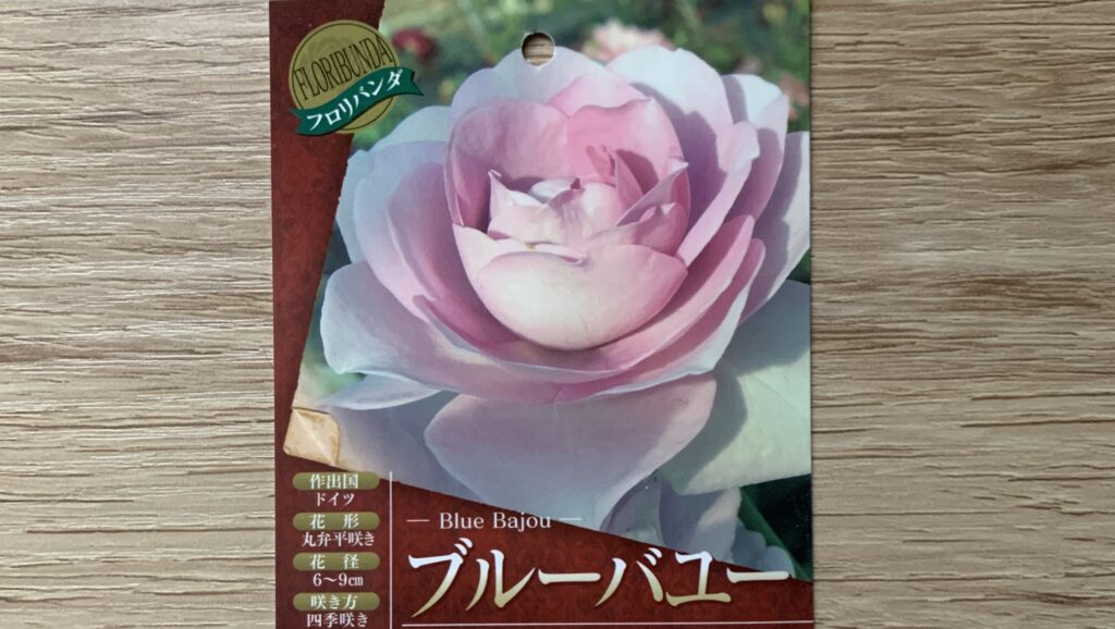 バラ「ブルーバユー」　ラベル　アイキャッチ画像