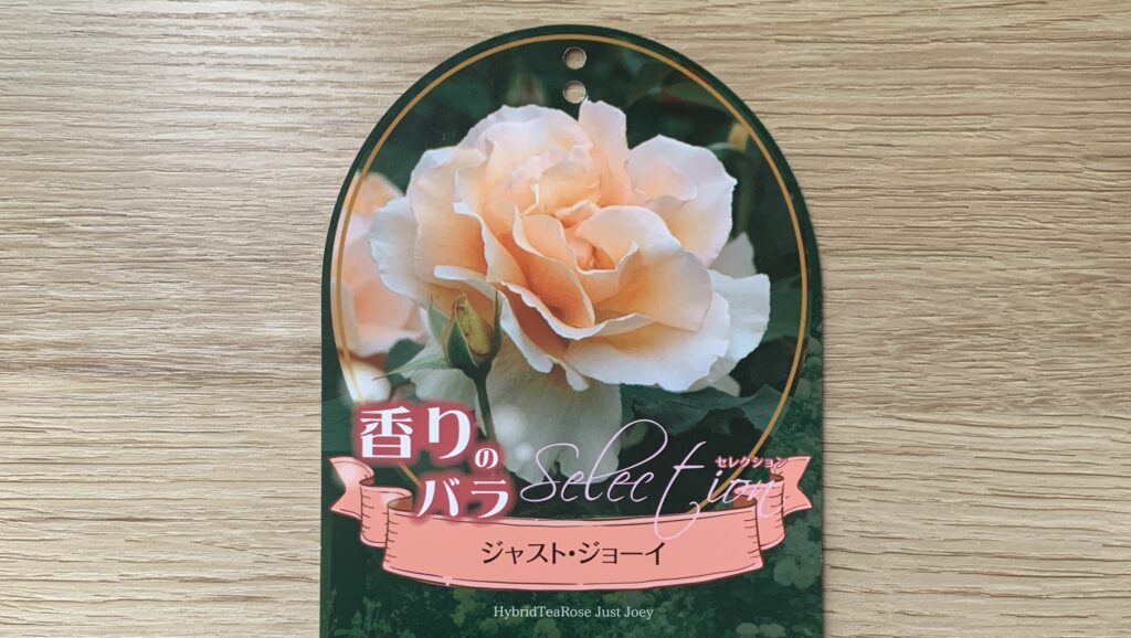 バラ「ジャスト・ジョーイ」　ラベル　アイキャッチ画像